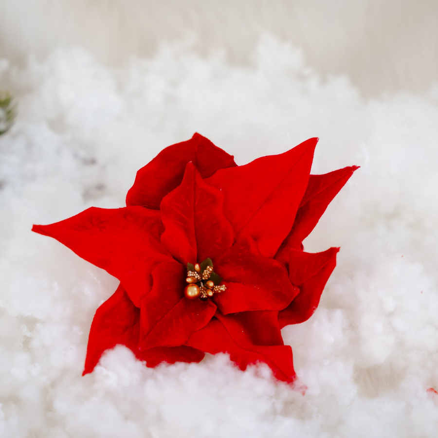 Crăciuniță lucrată manual din catifea – Eleganță pentru brad!